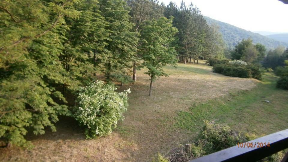Vila Akademik A1 Soko Banja Esterno foto