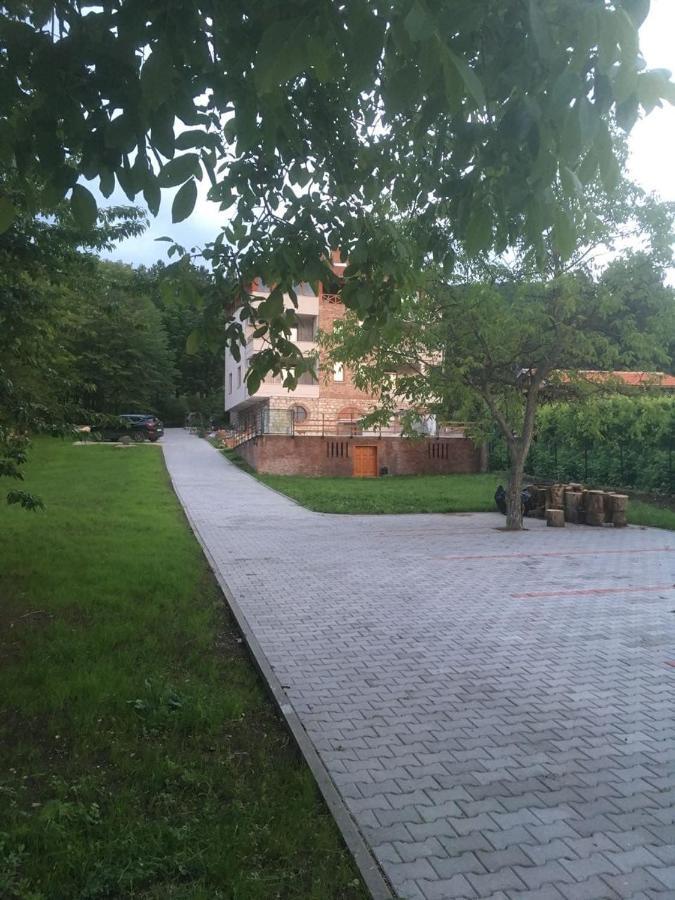 Vila Akademik A1 Soko Banja Esterno foto